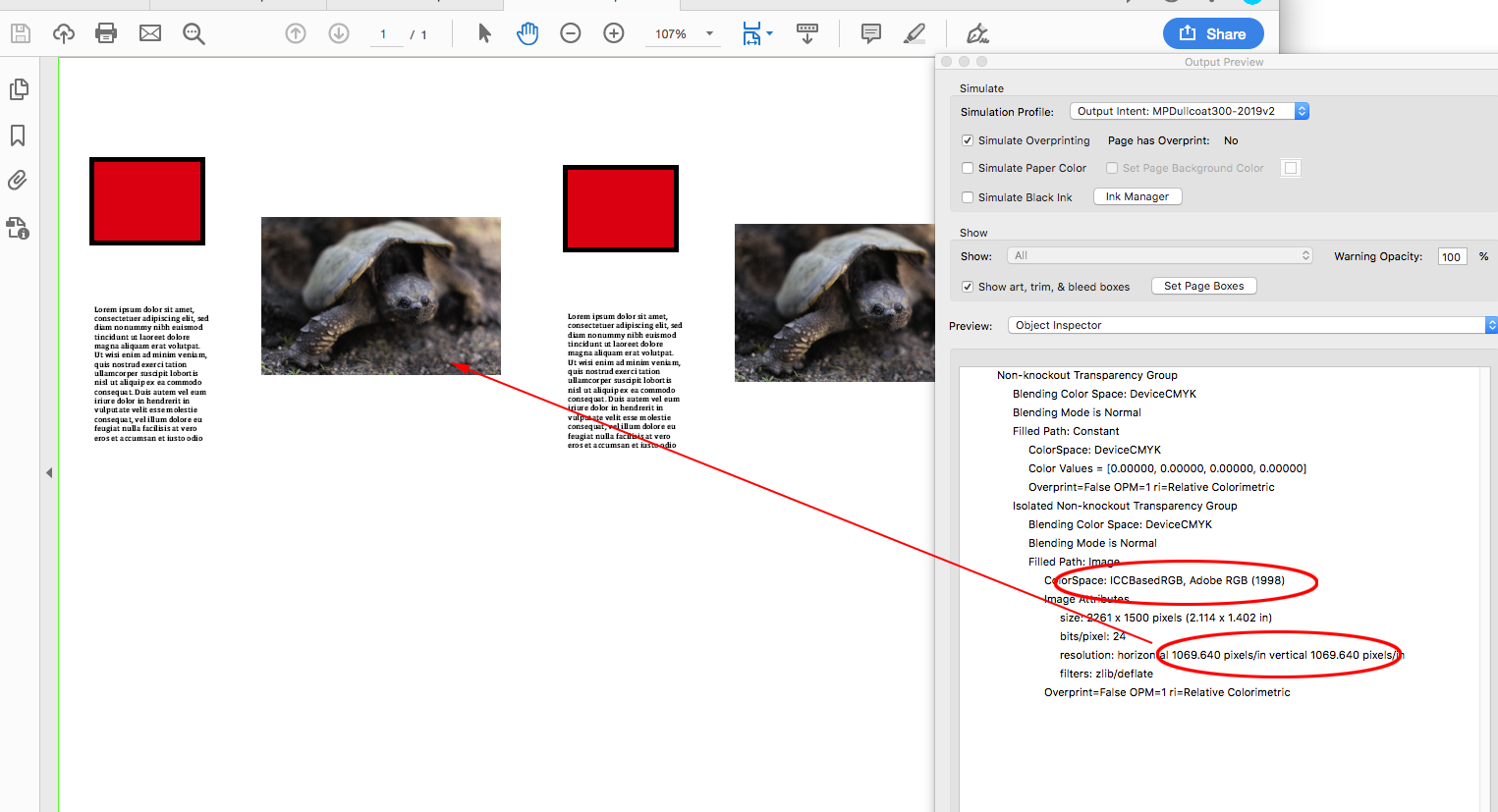 Screen Shot 6.png